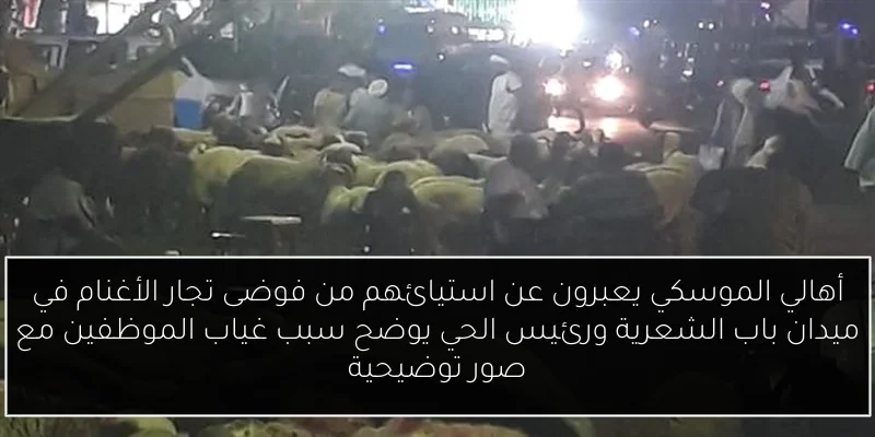 أهالي الموسكي يعبرون عن استيائهم من فوضى تجار الأغنام في ميدان باب الشعرية ورئيس الحي يوضح سبب غياب الموظفين مع صور توضيحية