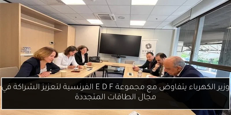 وزير الكهرباء يتفاوض مع مجموعة E D F الفرنسية لتعزيز الشراكة في مجال الطاقات المتجددة