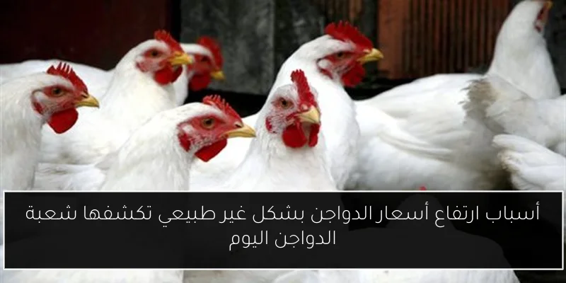 الأهلي يعلن عن تعاقده مع النجم التونسي محمد علي بن رمضان رسميًا