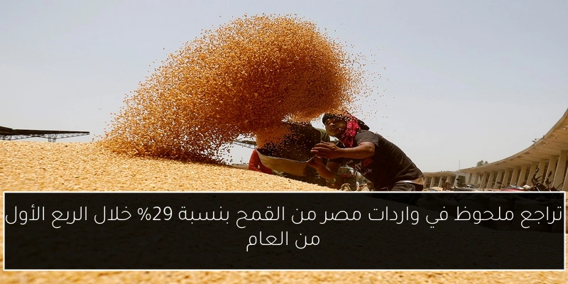 تراجع ملحوظ في واردات مصر من القمح بنسبة 29% خلال الربع الأول من العام