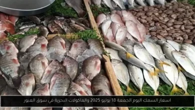 اسعار السمك اليوم 
