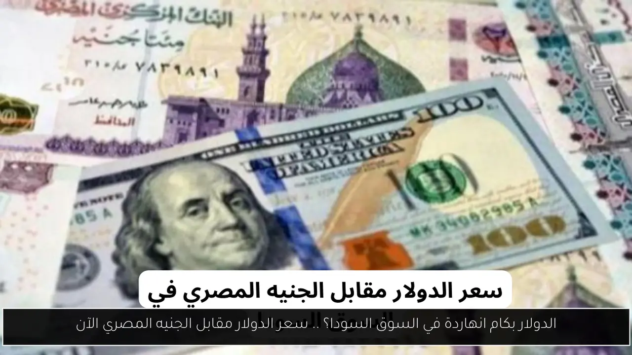 الدولار بكام انهاردة في السوق السودا