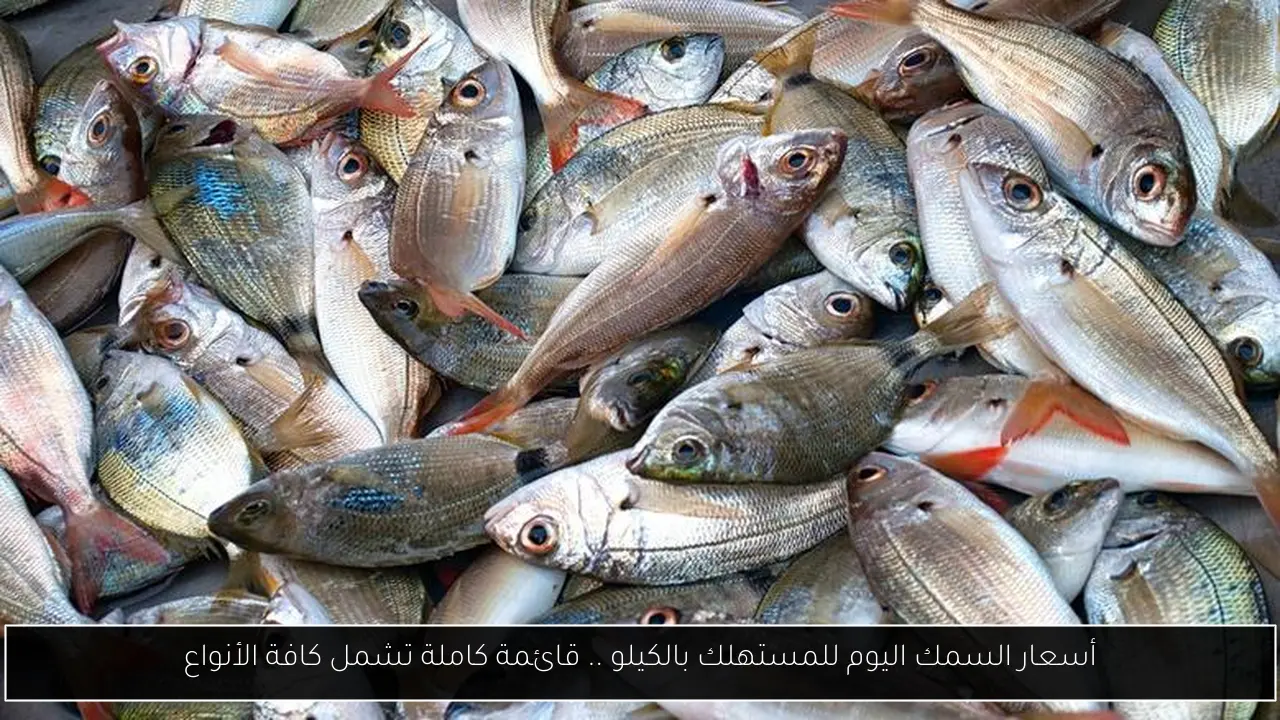 أسعار السمك اليوم للمستهلك