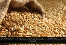 سعر طن الأرز الشعير اليوم