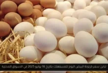 سعر كرتونة البيض اليوم للمستهلك