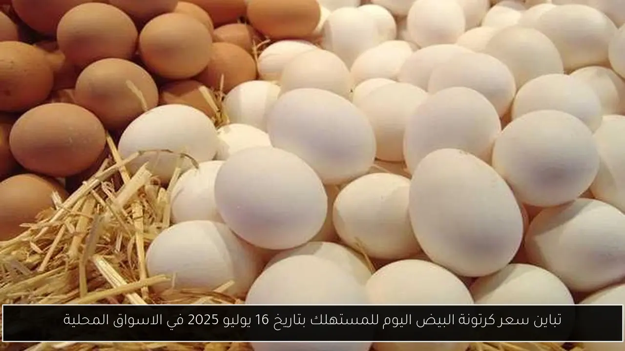 سعر كرتونة البيض اليوم للمستهلك