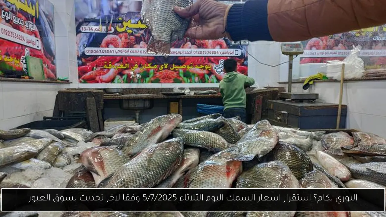 اسعار السمك اليوم
