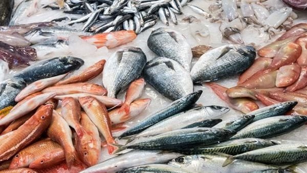 اسعار السمك اليوم في سوق العبور