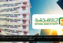 شهادات البنك الاهلي المصري 2025
