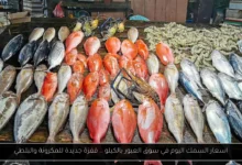 اسعار السمك اليوم في سوق العبور