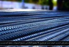 سعر طن الحديد اليوم حديد عز
