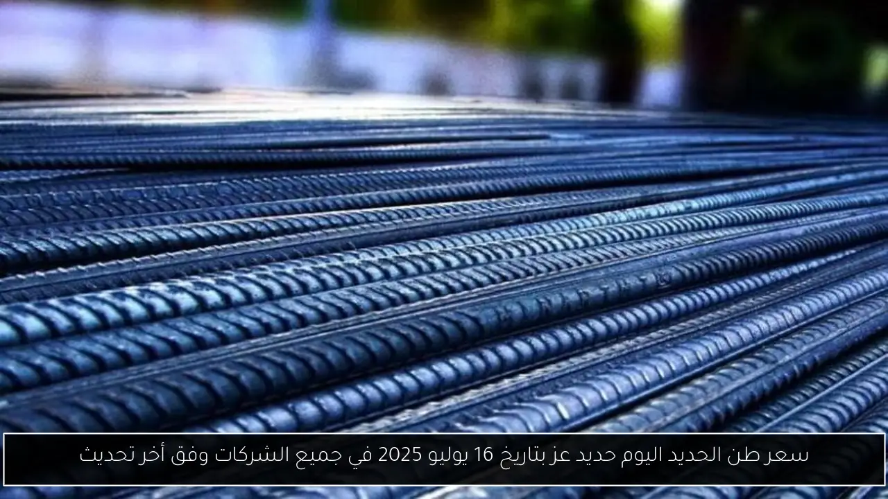 سعر طن الحديد اليوم حديد عز