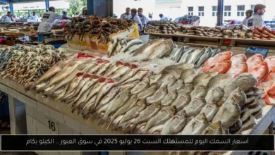 أسعار السمك اليوم للمستهلك