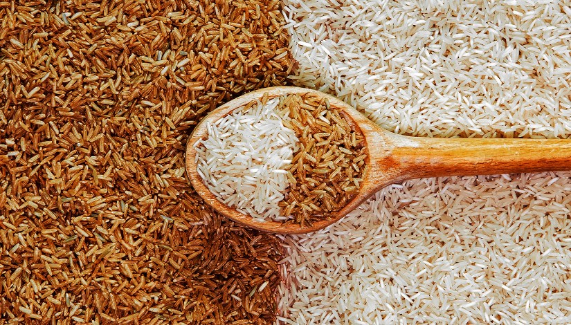 اسعار الارز الشعير اليوم