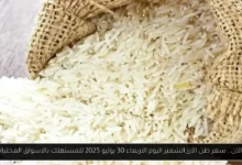 سعر طن الأرز الشعير اليوم