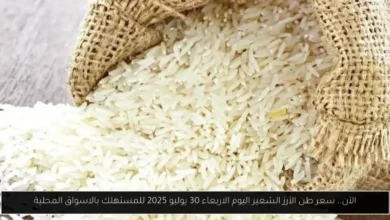 سعر طن الأرز الشعير اليوم