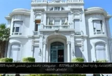 جامعة عين شمس الأهلية