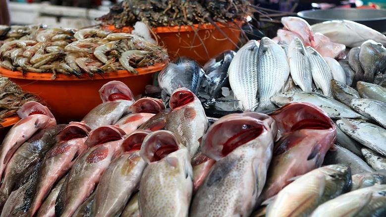 اسعار السمك اليوم في سوق العبور