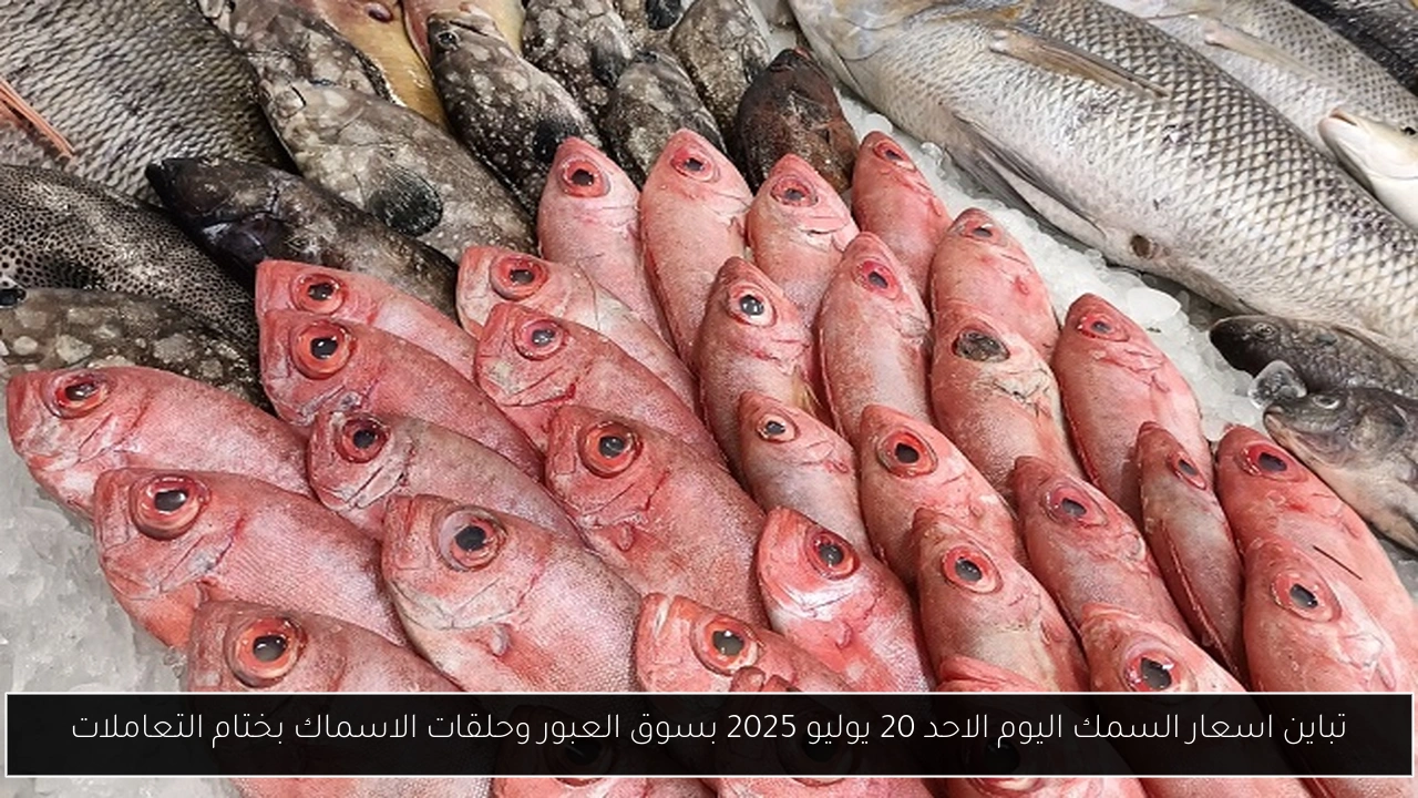 اسعار السمك اليوم
