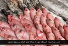 اسعار السمك اليوم