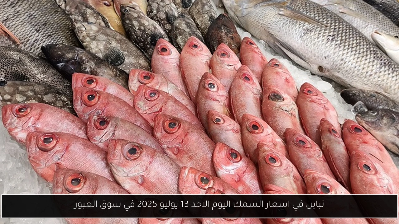 اسعار السمك اليوم