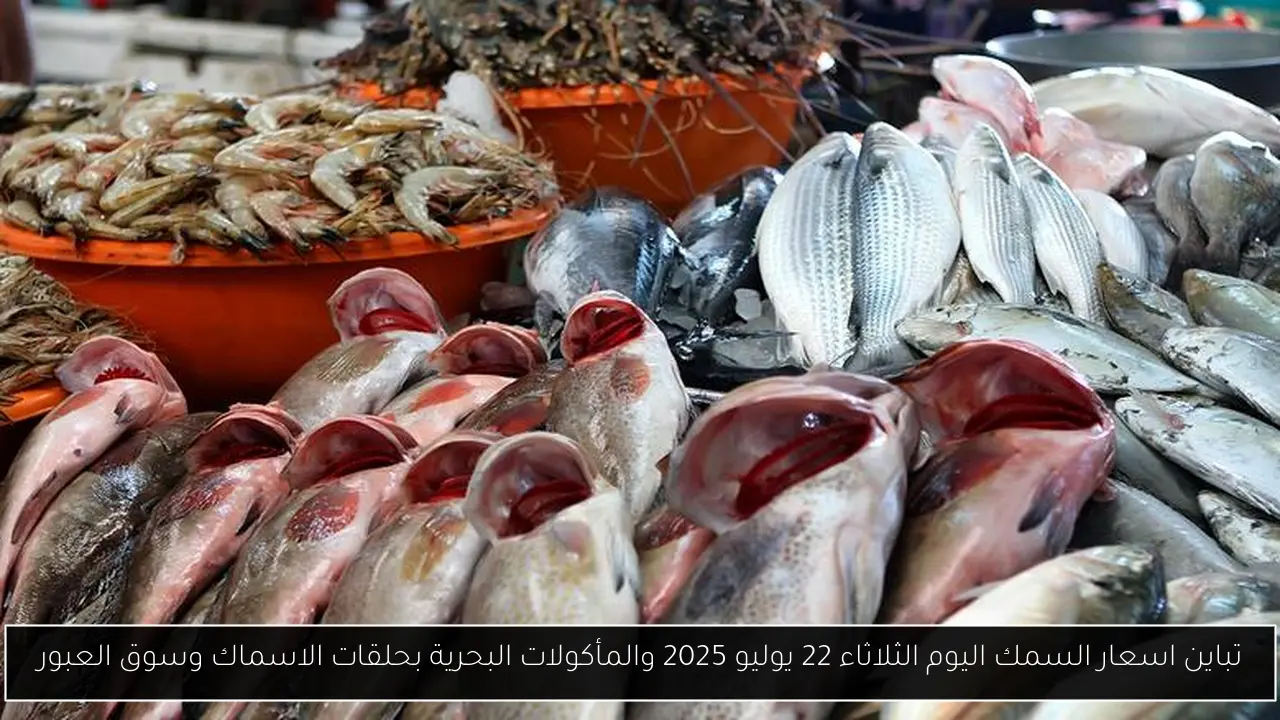 اسعار السمك اليوم