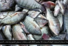 اسعار السمك اليوم