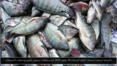 اسعار السمك اليوم