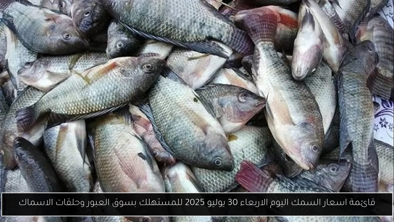 اسعار السمك اليوم
