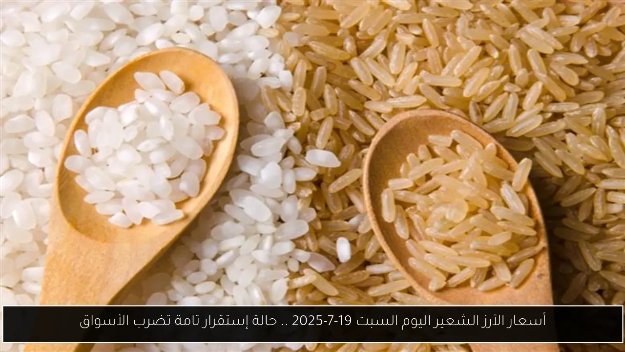 أسعار الأرز الشعير اليوم