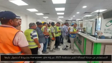 الاستعلام عن منحة العمالة الغير منتظمة 2025