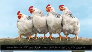 بورصة الدواجن اليوم أسعار الفراخ البيضاء