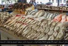اسعار السمك اليوم