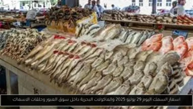 اسعار السمك اليوم