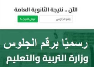 نتيجة الثانوية العامة 2025 بالاسم ورقم الجلوس