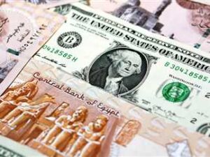 سعر الدولار مقابل الجنيه المصري اليوم
