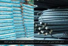 سعر طن الحديد والاسمنت
