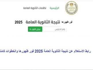 ملف نتيجة الثانوية العامة 2025 xlsx