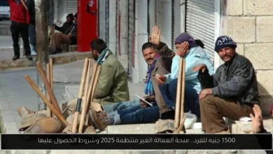 منحة العمالة الغير منتظمة 2025