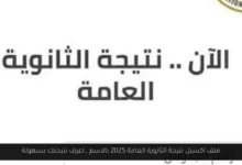 ملف اكسيل نتيجة الثانوية العامة 2025