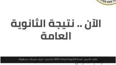 ملف اكسيل نتيجة الثانوية العامة 2025