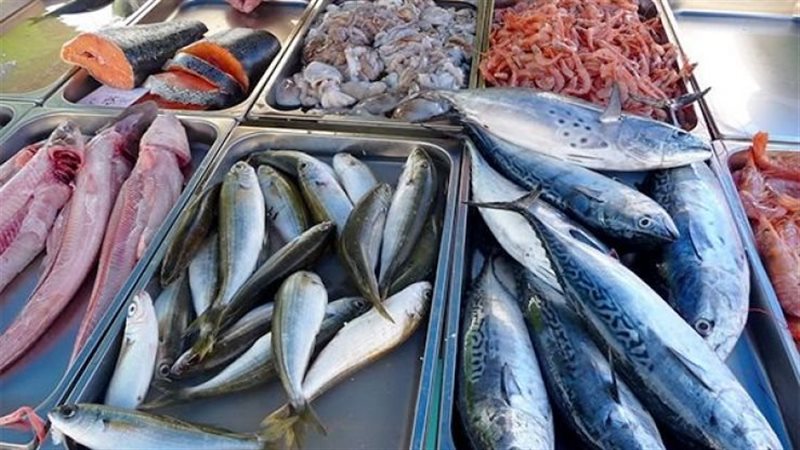 اسعار السمك اليوم للمستهلك