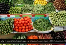اسعار الخضروات في سوق العبور اليوم