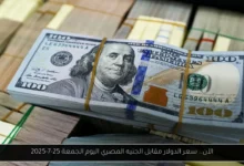 سعر الدولار مقابل الجنيه المصري