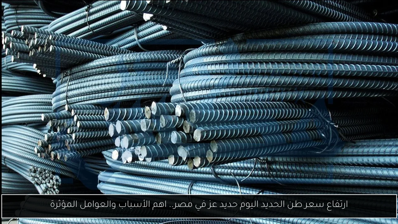 سعر طن الحديد اليوم حديد عز