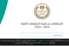 نتيجة الدبلومات الفنية برقم الجلوس 2025