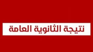 موقع صدي البلد نتيجه الثانويه العامه 2025