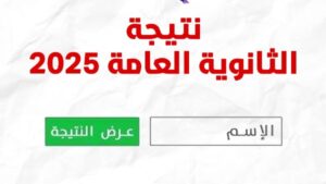 الاستعلام عن نتيجة الثانوية العامة 2025 برقم الجلوس
