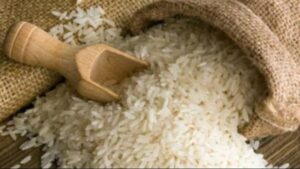 سعر الارز الشعير اليوم