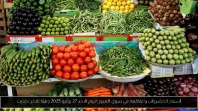 اسعار الخضروات والفاكهة في سوق العبور اليوم